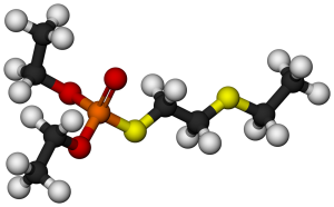 Molecule PNG-48706